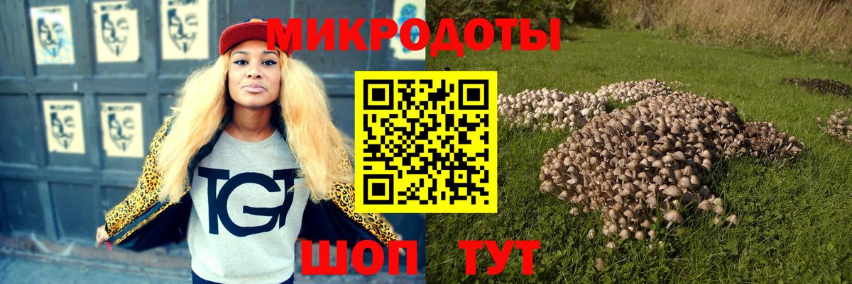 Псилоцибиновые грибы прущие грибы  Галлюциногенные грибы Cubensis  Артём  Вход с VPN 